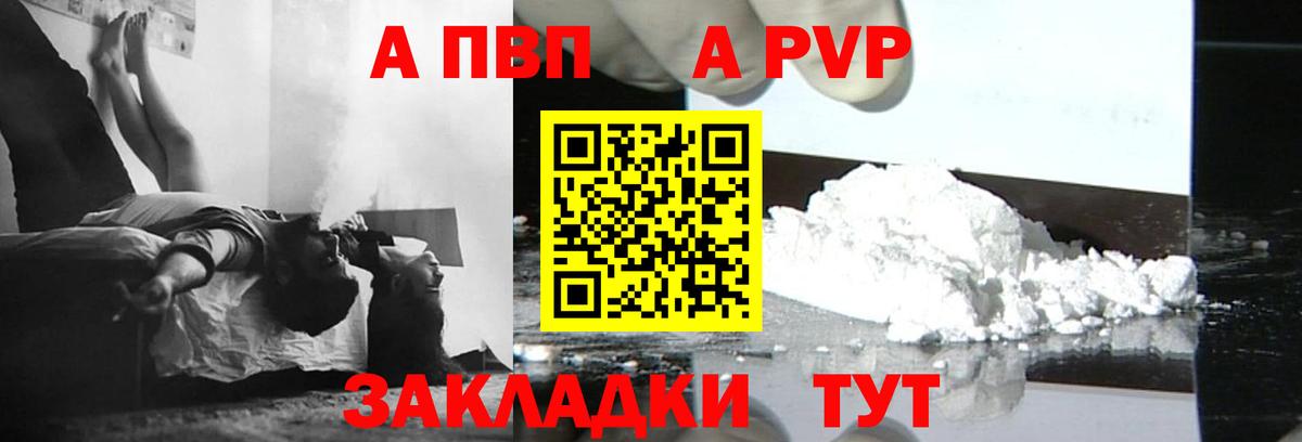 Alfa_PVP СК КРИС Сосновый Бор