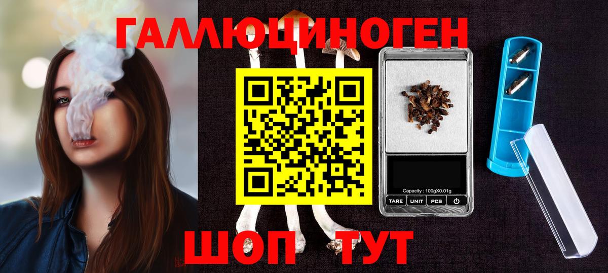купить наркоту  Вход с VPN  Псилоцибиновые грибы Psilocybine cubensis  Сосновый Бор  Псилоцибиновые грибы мухоморы 